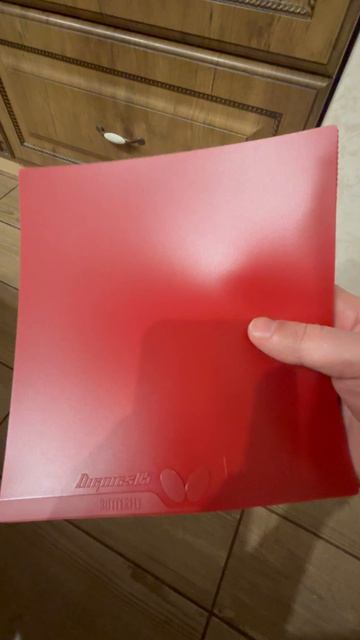 Настольный теннис.Дигникс 0,5