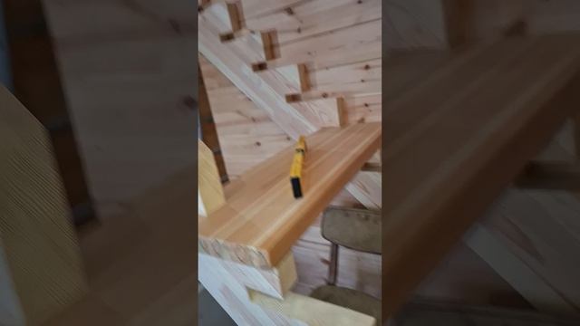 1000056688.mp4 (Собака наблюдает за устройством лестницы на 2-ой этаж в доме А-фрейм)