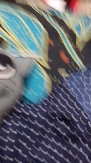 котик кричит