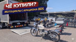 Чё купили? на аукционе BDS!