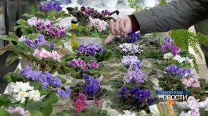 Пора открывать дачный сезон