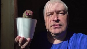 У меня белый цветочный горшок. На кактусе бутоны и цветы. Цветёт кактус