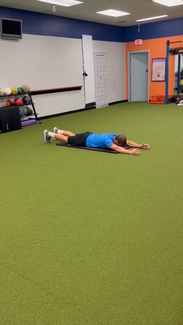 Prone Alternating Opposite Arm_Leg Raises Подъемы ног-рук разгибания диагональ