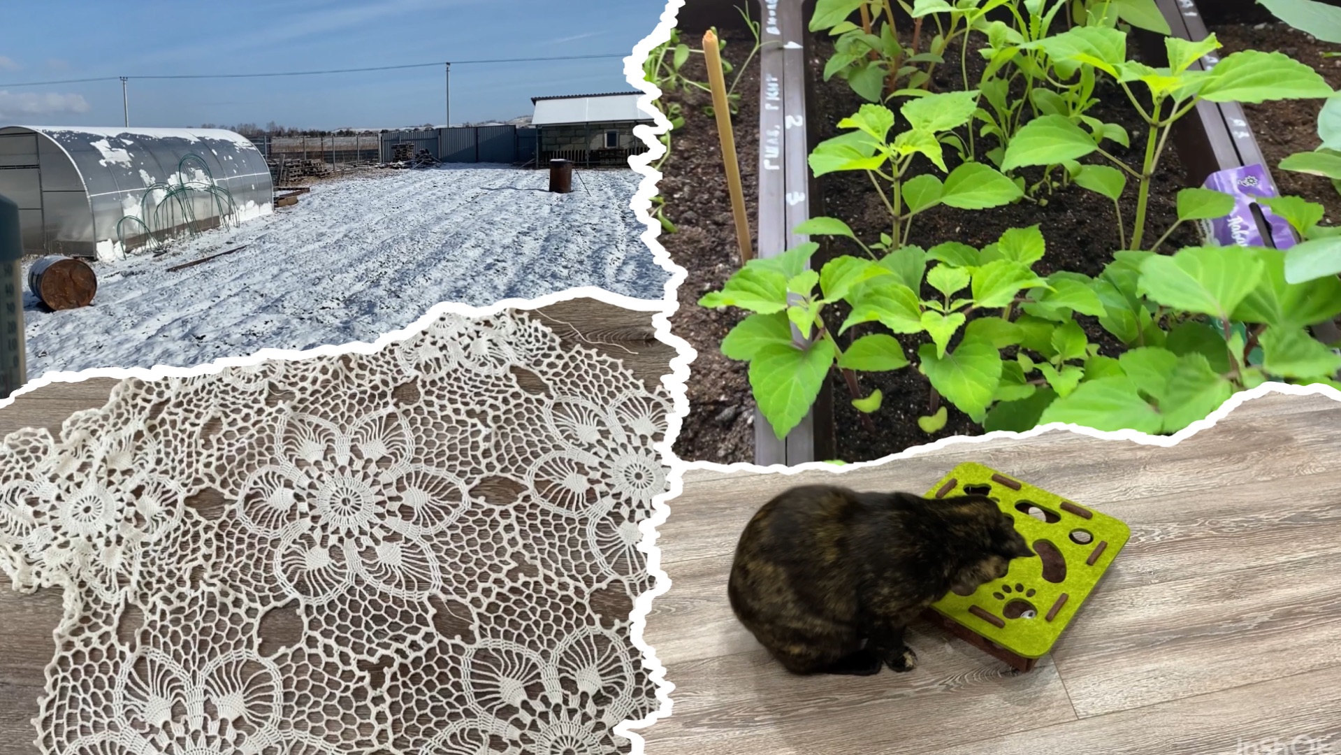 Ну явно в моем телефоне шарится😏 Распаковочка☺️