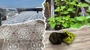 Ну явно в моем телефоне шарится😏 Распаковочка☺️