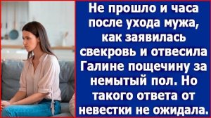 Не прошло и часа после ухода мужа, как заявилась свекровь и отвесила Свете пощечину