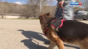 "Тема дня. Рейд ГАИ"