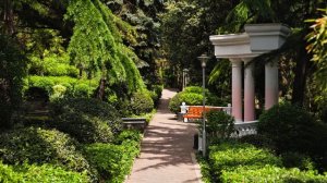 copy_8F87A551-C4EF-4312-9C74-4BC2A43979F5