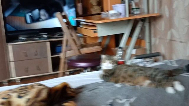 Что бы было)Влог