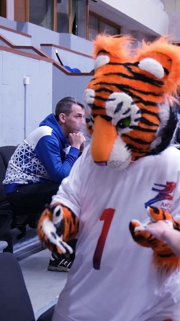 Закрытие чемпионата по волейболу «Маринс Групп» – Москва