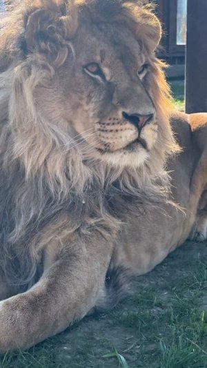 Доброе утро