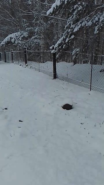 21 апреля 2026 года зима пришла.mp4