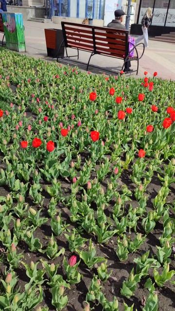 Солнце🌝 светит, но не греет..... 21.04.26.