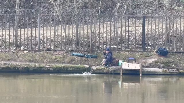 Основной водоём.Форель