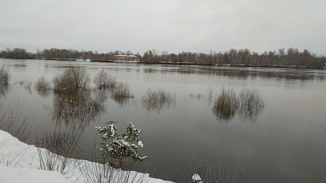 Хмурое утро. р.Ока.7часов.21.04.2026г.