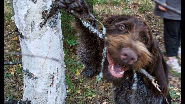 П. Коэльо. О связи с Богом. Притча 65. Книга Воина Света