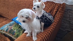 Дела наверное никогда не кончатся....