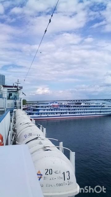 Апрельский кот! Песни кругосветной выставки.