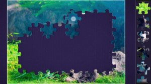 Собираем пазлы. Бамбуковый обед. Панды на обеде