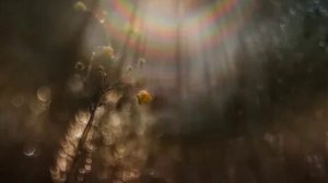 М.878)) Молимся вместе. Уныние.