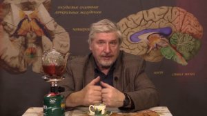 Компьютерные игры. В чем притягательность