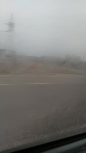 стрим #мы едем на дачу