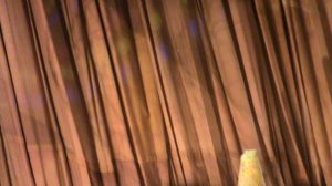 125)Ф ДВОРЕЦ ДЕСКОГО ТВОРЧЕСТВА НОВОГОДНЯЯ СКАЗКА