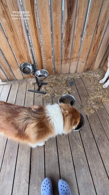 Сильно изменились?