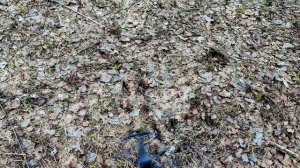 Один сигнал - три прибора - один победитель. Кто справился с глубокой медью?