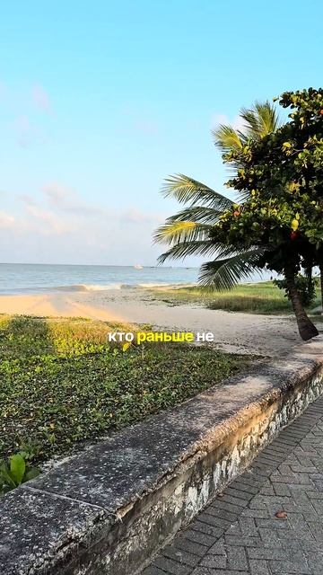 Почему в Бразилии рожать лучше чем в Аргентине? #blacksmithfamily