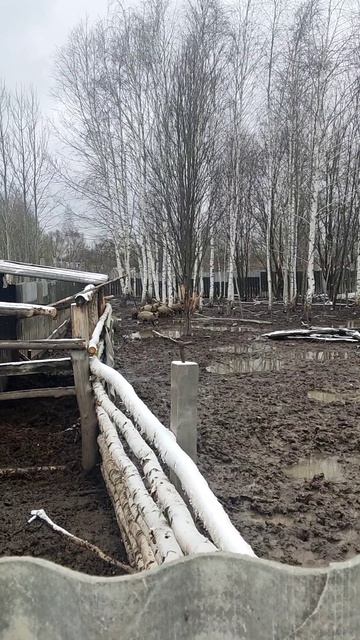 С этими ребятками шутки плохи.))))