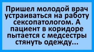 Молодой врач устраивается на работу сексопатологом... | Анекдоты смешные | Юмор