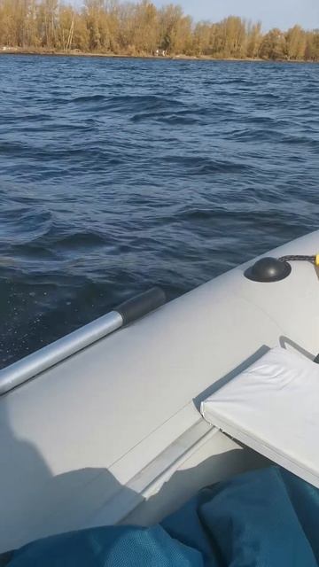 VID_20231014_110831~2.mp4