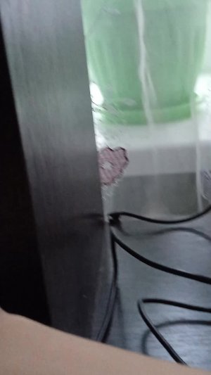 играю майн онлайн в Яндекс играх