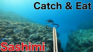 Подводная охота /  Я попробовал невероятно свежее сашими.