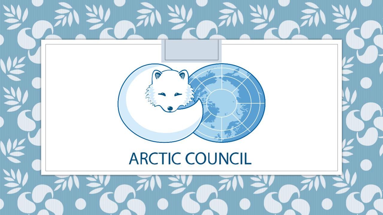 Арктический Совет
