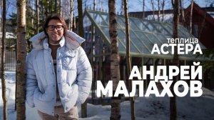 Теплица АСТЕРА – проект Андрея Малахова | Стеклянная английская теплица GLASS HOUSE