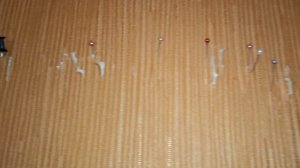 Защита от сглаза и порчи? Или просто иголки?