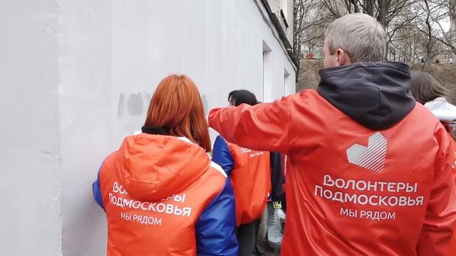 Лидеры чистых стен