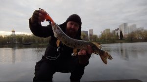 ЗАПРЕТ!!!РЫБАЛКА НА СПИННИНГ МИКРОДЖИГ РАКИ ФРИ РИГ ЛОВЛЯ ЩУКИ В АПРЕЛЕ