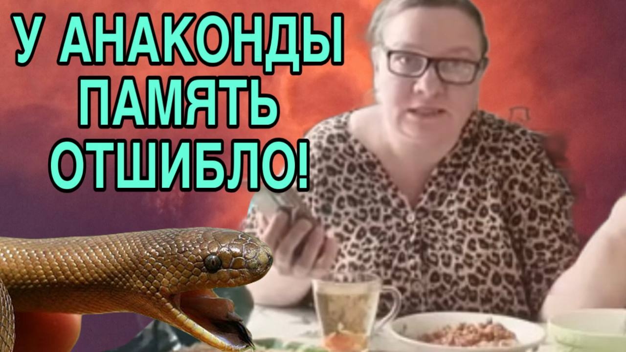 У АНАКОНДЫ ОТШИБЛО ПАМЯТЬ. ОЛЬГА ИЗ ЗАУРАЛЬЯ. ОБЗОР.