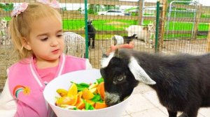 Алиса и её тётя кормят животных на ферме.