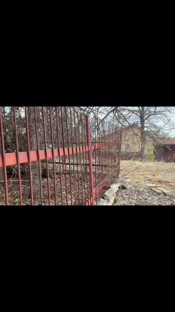 Copy_BC31D113-657C-4C96-8407-A12761C6DC21