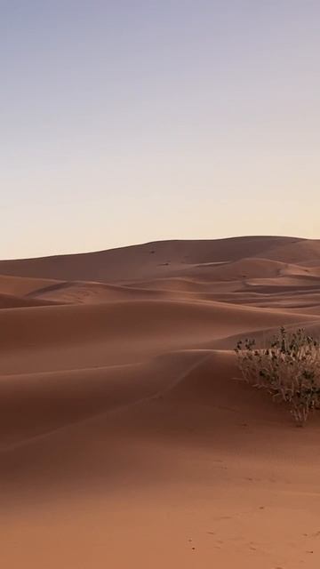 Марокко с Бон Тур. Новые открытия в каждой поездке