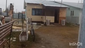 20.04.26.моя рассада. Вазоны для цветов.