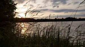 022▪️Вечерний ветер на реке▪️Приятная обстановка▪️Футажи ▪️Красивый пейзаж