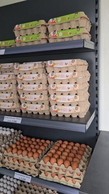 18 апреля 2026 г.