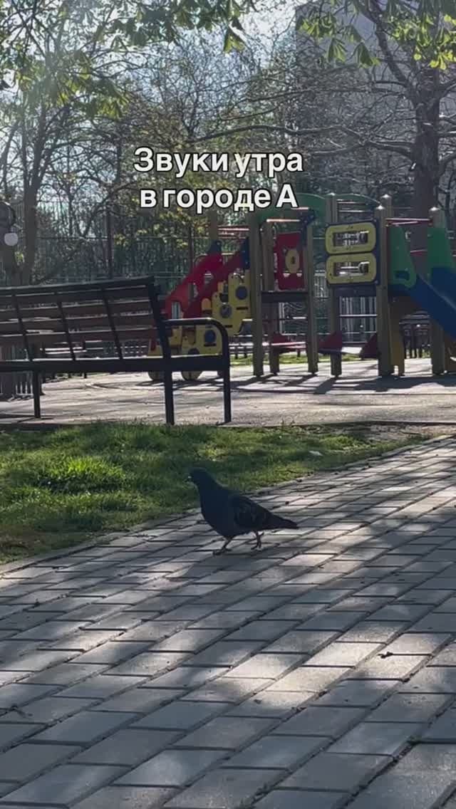 Отдохни от Бони и соловьева  начни этот день со мной, утро в самом лучшем городе мира♥️ #переезднаюг