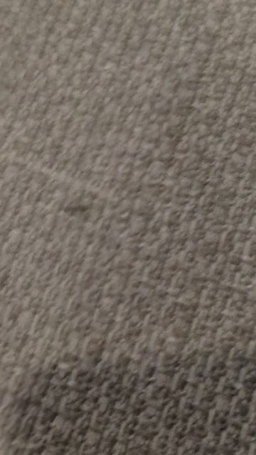 МУРАВЕЙ ПОД СТЕКЛОМ 🤣🤣🤣