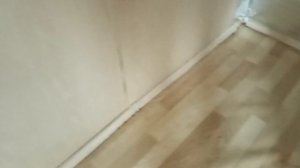 съездили в деревню, отвезли цветы